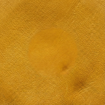 Premium Leather Key Fob for Aston Martin - Carsilks 