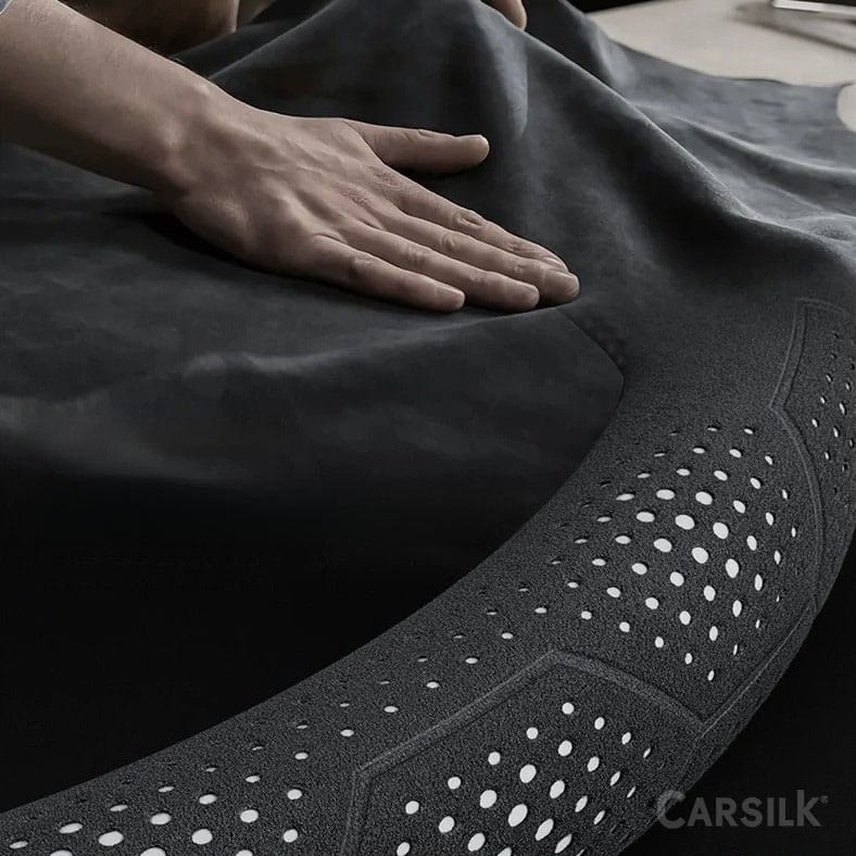 101125 carislk 2 b